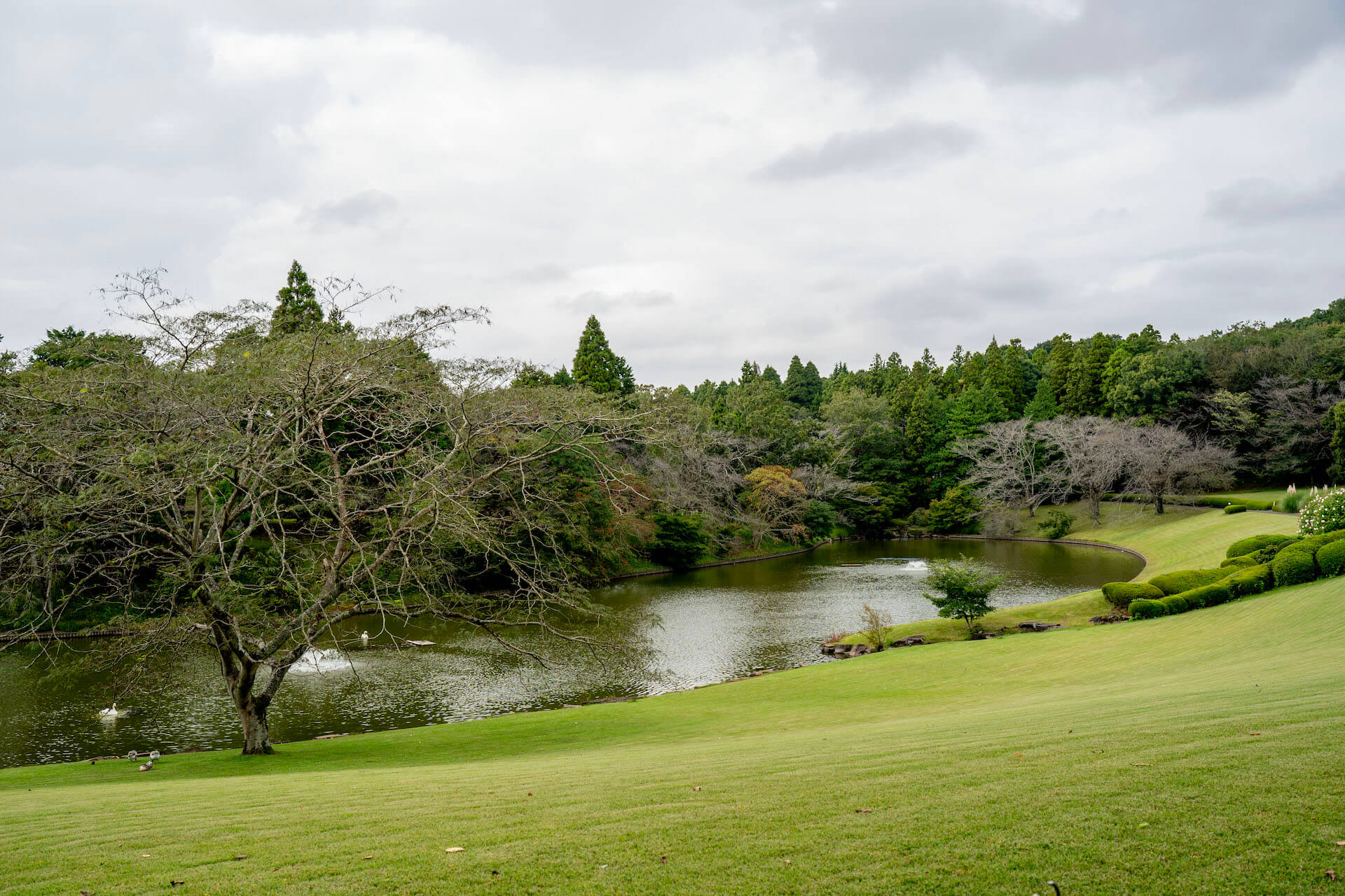 DIC川村記念美術館　周辺の景色・景観