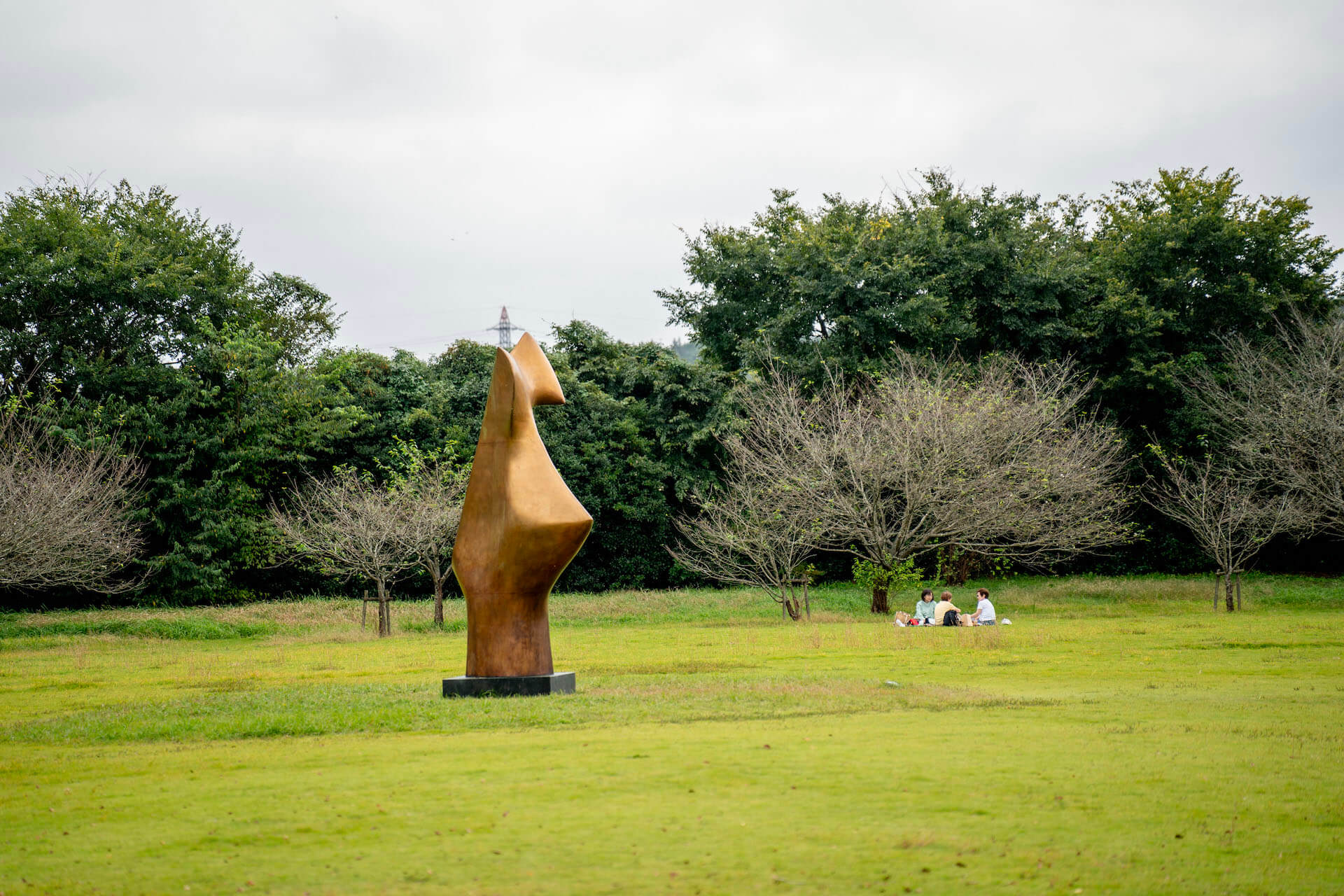 DIC川村記念美術館　広場　ピクニック