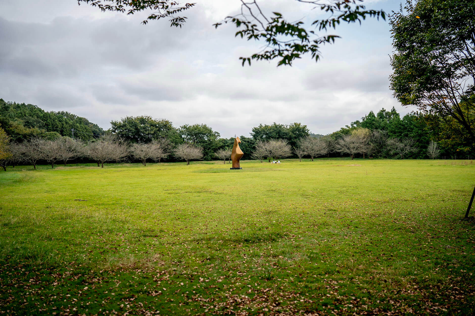 DIC川村記念美術館　広場